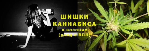 стаф Беломорск